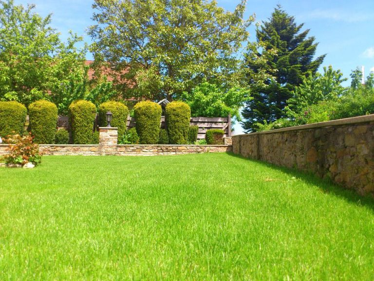 backyard-putting-greens