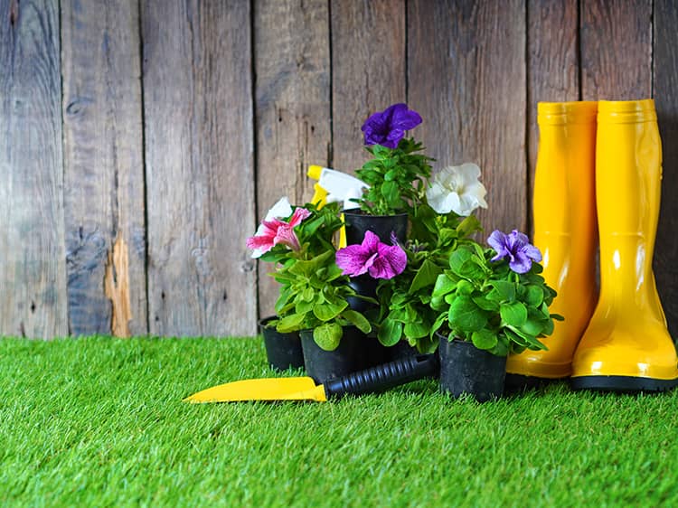 Creative Garden Design Ideas Using Artificial Turf Installation Near Me