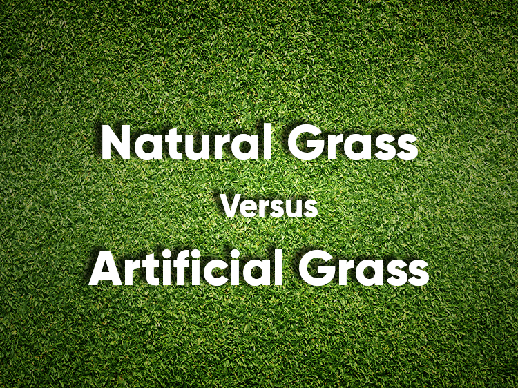 natural vs artificial grass