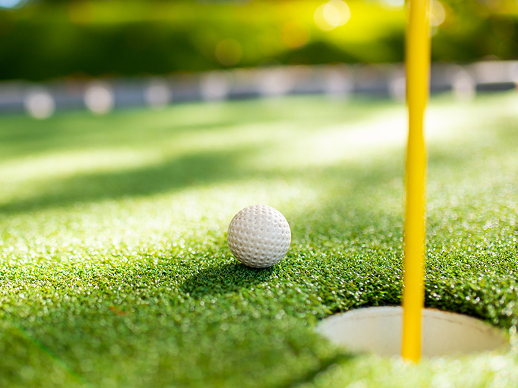 features-should-you-look-for-in-the-artificial-grass-installation-for-phoenix-putting-greens