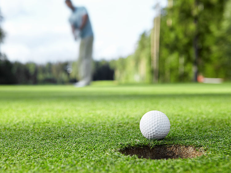 7 Skills You Can Practice On Backyard Putting Greens In Modesto