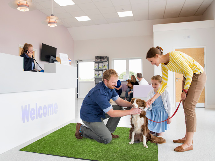 7 Benefits of Synthetic Turf in Virginia for Vet Clinics