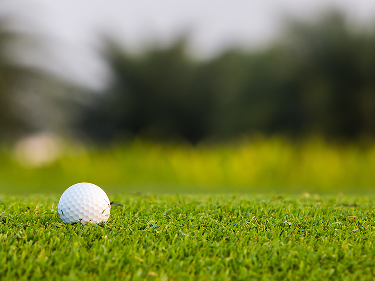 12 Reasons To Pick Artificial Turf For Your Putting Green