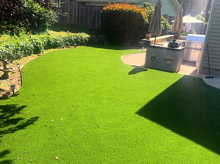 Why Artificial Turf in Texas is the Future of Lawns