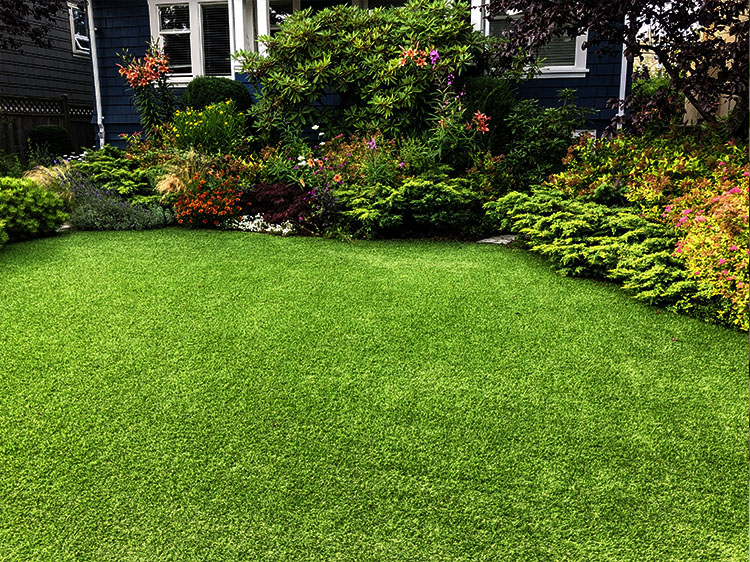 6 Ways Take Care of Your Backyard Putting Green in Orlando