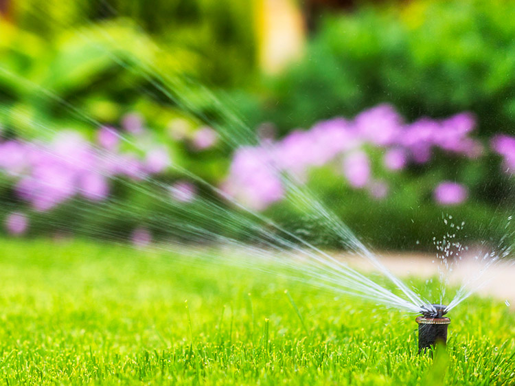 How to Save Water With Artificial Turf Installer in Santa Rosa