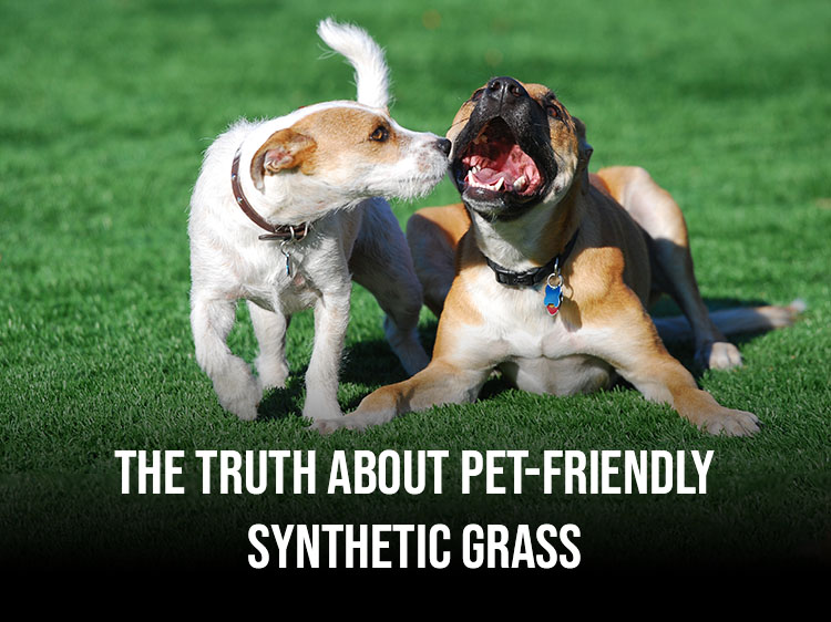 The Truth about Pet-Friendly Synthetic Grass in Long Island