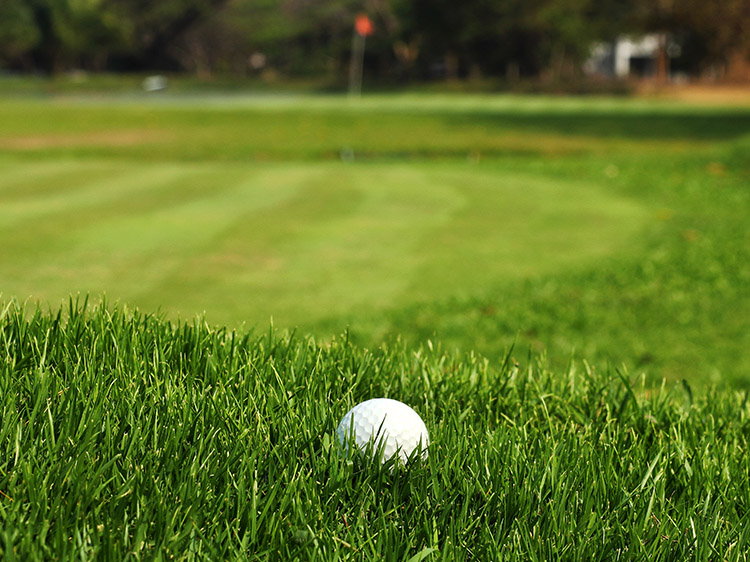 The Cost-Effectiveness of Atlanta Putting Green Compared to Natural Grass