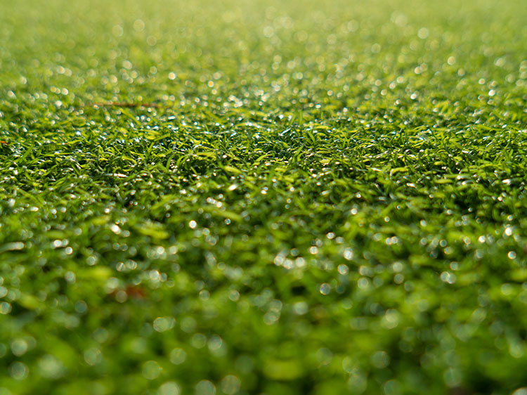 Experience a Natural Putting Green with Artificial Grass in Fresno, CA