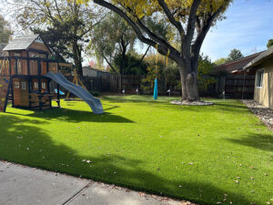 yard turf playground