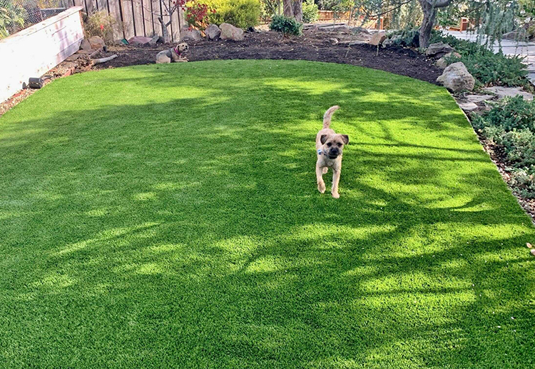 Choose Artificial Grass for Your Pet Area