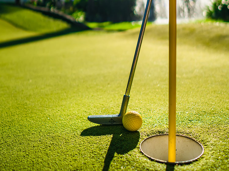 The Pros and Cons of a Backyard Putting Green