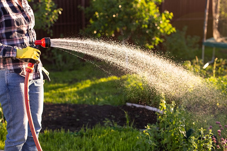 Artificial Grass Can Help Save Water