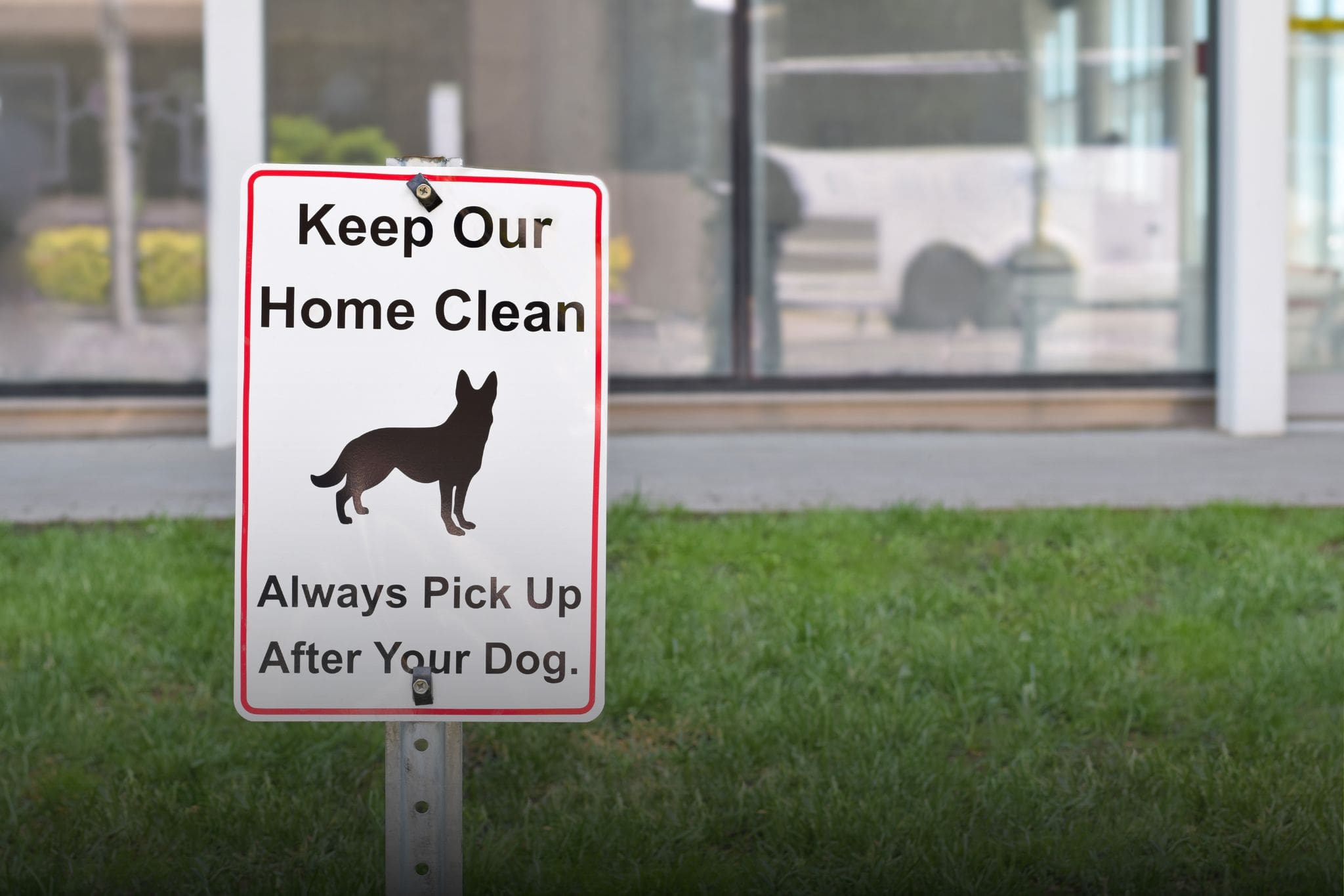 Daily maintenance matters—here’s how to clean artificial turf for dogs safely
